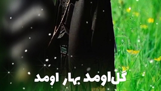 گل اومد بهار اومد سید جواد ذاکر