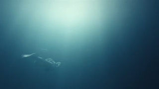 قسمت 1 سریال پاچینکو (Pachinko 2022)+زیرنویس فارسی اضافه شد با بازی لی مین هو