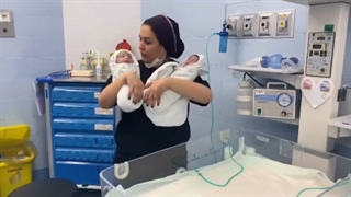 تولد دوقلوهای بامزه