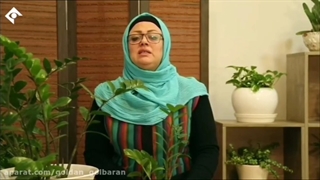 زامیفولیا تکثیر گل با خاک و کود مناسب