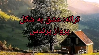 ترانه: عشق به شکل پرواز پرندس