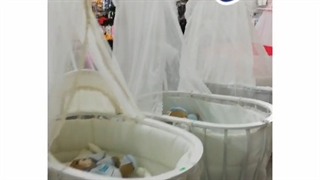 محیط فروشگاه علی کالا