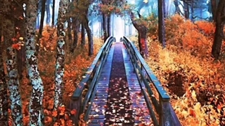 ترانه: آفتاب من بی تو