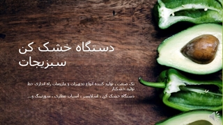دستگاه خشک کن میوه و سبزی پیاز و سیر ، انگور