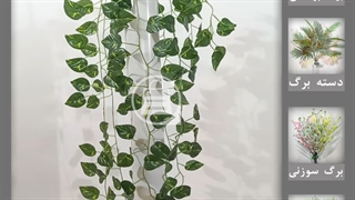 گیاه رونده پتوس مصنوعی