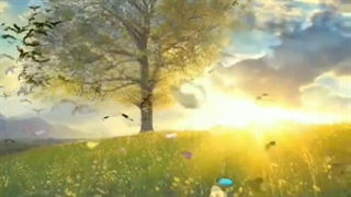 آهنگ جدید (لیلی)  ابراهیم Ebi Dolabi_ Leyli (ebrahim.muzic)