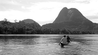 زاستار باشکوه آمازون - رخشاره آغوش اژدر - سیاه و سپید