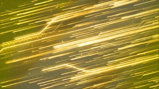 انیمه افسانه ارباب آسمان ها قسمت 53 + زیرنویس