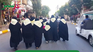 شرکت خدمات مسافرتی ، گردشگری و زیارتی علم سبز - تور کربلا - کاروان کربلا گروه زیارتی علم سبز