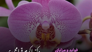 فواید و مزایای تزریق ژل به ناحیه ژنیتال