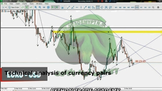 Professional Analysis 2000 Pip EUR / USD