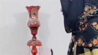 کاکتوس سخنگو شارژی موزیکال