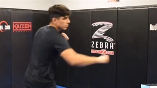 هدبال و دستکش ونوم