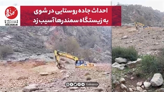 احداث جاده روستایی در شوی به زیستگاه سمندرها آسیب زد