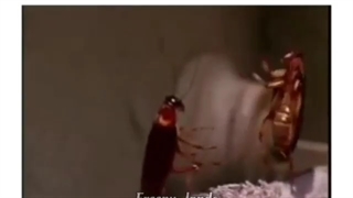 ♡سممم سوسککک♡