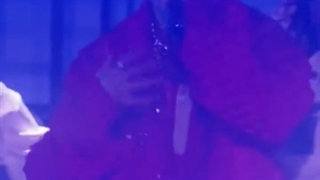 ⊱ دومین روز کنسرت PTDonStageLV