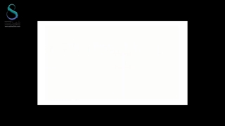 اختلال شخصیت پارانوئید (PPD)