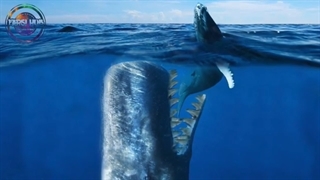 حیوانات بسیار وحشتناکی که باید از منقرض شدنشون خوشحال باشید