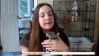 فیلم آموزش تربیت طوطی-اهلی کردن طوطی-نگهداری از طوطی-4روش حمام دادن طوطی