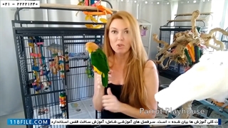 فیلم آموزش تربیت طوطی-اهلی کردن طوطی-بهداشت قفس و اتاق نگهداری طوطی
