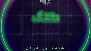 دانلود آهنگ دلتنگ از حامد برادران