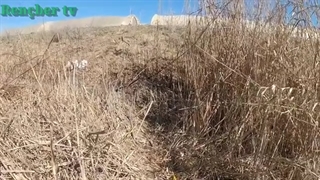 موتور پمپ لانسین LC25ZB36