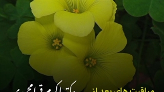 مراقبت های بعد از جراحی کلیتوریس