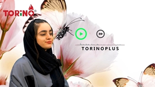 طرح تعویض اجاق گاز کهنه با نو تورینوپلاس