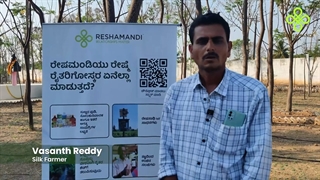 ReshaMandi is championing farmers| Story of a successful farmer, Vasanth
