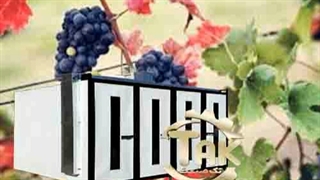 دستگاه خشک کن انگور غوره کشمش مویز و کلیه میوه ها و سبزیجات09198201278