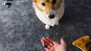 ولاگ کیونگ تیوب بکهیون (پیاده روی با مونگریونگ) با زیرنویس فارسی آنلاین