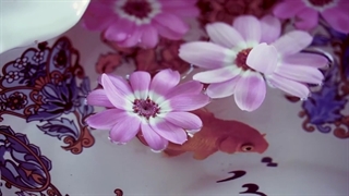 پرسنل کلینیک سیمادنت در نوروز 1401 در مطب دکتر داودیان