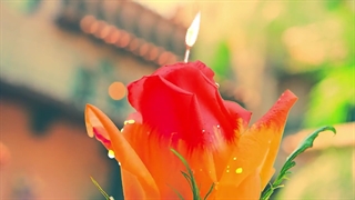 موزیک ویدیو O Sole Mio از SF9