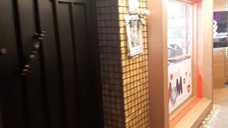 آگهی درگذشت گربه خانگی