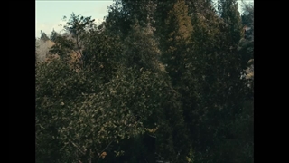 سریال پاچینکو قسمت ۷