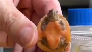 عنوان بی عنوان