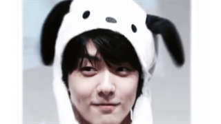 بایس کیوتم تو تی اکس تی سوبین یک عدد خرگوش