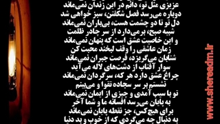 به دنبال چه می گردی؟