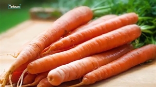 فواید هویج - خاصیت باور نکردنی هویج