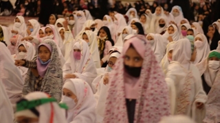 جشن پرواز پروانه ها
