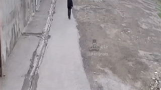 ببینید | لحظه هولناک حمله گرگ گرسنه به خانم معلم خلخالی