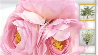 سرگل پیونی متوسط یاسی | فروش انواع سرگل