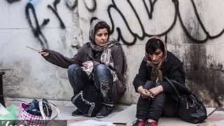 دانلود فیلم دارکوب با کیفیت عالی 1080p