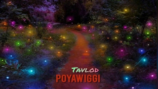 آهنگ جدید پویا ویگی به نام تولد