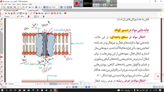 انتقال مواد در گیاهان