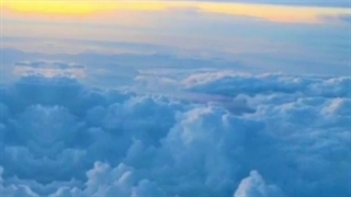 استقلال یعنی  نفس ،عشق ، وابستگی کیا استقلالین ؟؟؟   منننننننننن که تا ابد استقلالی میمونم♡♡♡♡♡