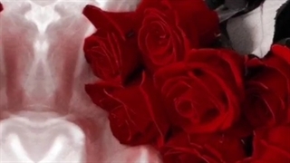 پرسپولیس یعنی افتخار ،جنگیدن،ایستادگی خلا۱ه که پرسپولس و رنگ قرمزش عشقه♡♡♡