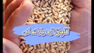 عوامل رشد قیمت ماکارونی