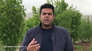 کودک ارزشمند تربیت کن