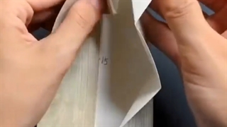 الناشناس
